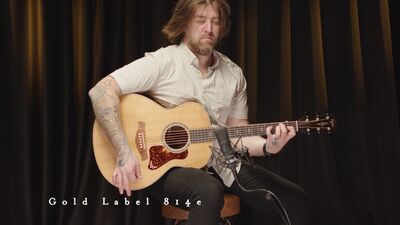 Taylor Guitars | Gold Label 814e | Demo.jpg