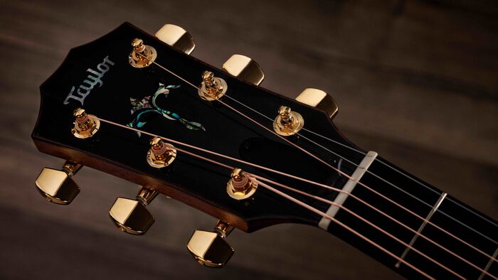 Taylor-Legacy-914ce-1201215106-gallery-09-2025.jpg