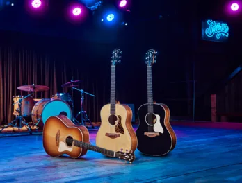 Taylor Gold Label acoustic guitars