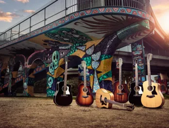 Taylor acoustic guitar collections