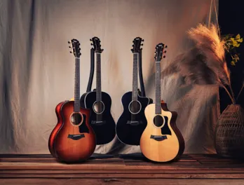 Taylor Standard Series acoustic guitars
