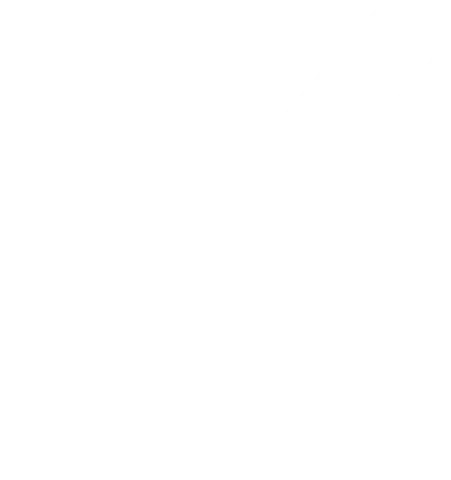 Case Icon