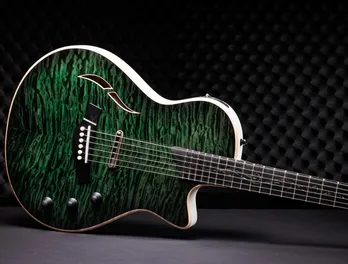 Build your own Taylor electric guitar