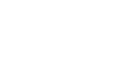 Money Icon