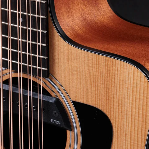 150ce Bajo Quinto