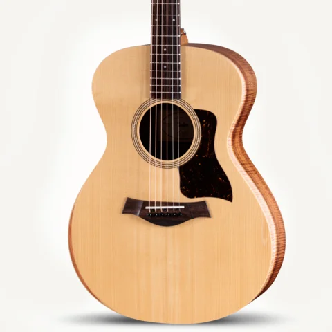 Academy 12e LTD