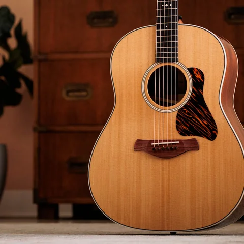 Gold Label 517e