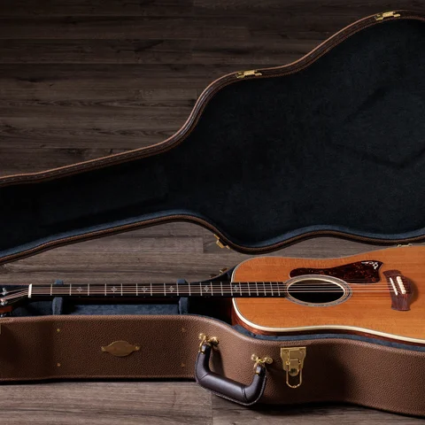 Gold Label 810e