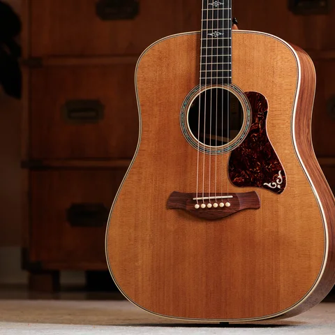 Gold Label 810e