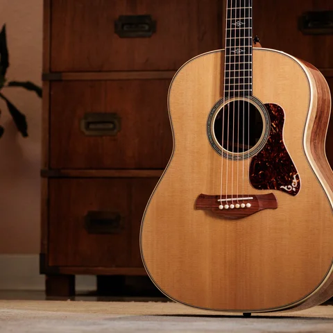 Gold Label 817e