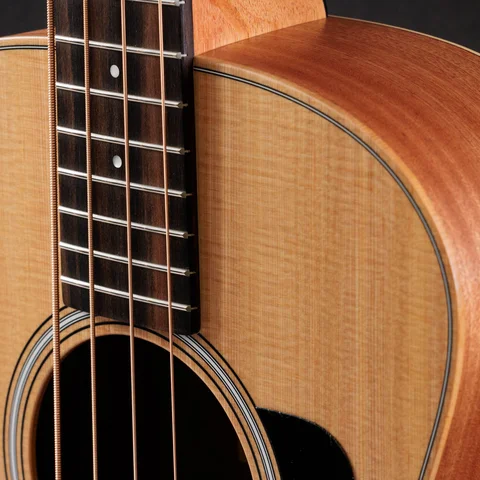 GS Mini-e Bass