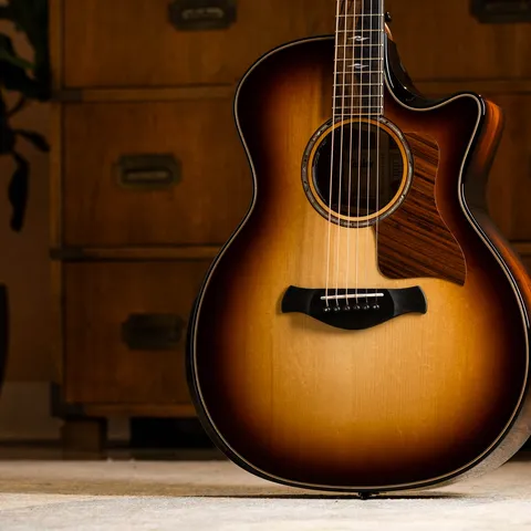 Next Generation Builder's Edition 814ce Honduran Rosewood/Adirondack Spruce